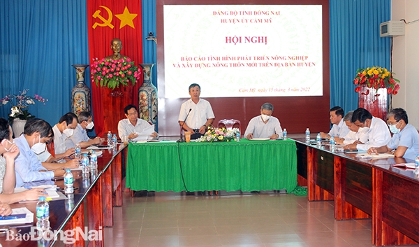  Phó bí thư Thường trực Tỉnh ủy Hồ Thanh Sơn phát biểu tại buổi làm việc
