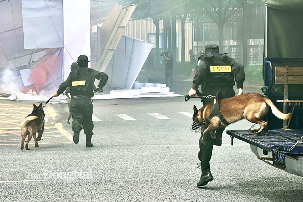Lực lượng Cảnh sát cơ động dùng cảnh khuyển được huấn luyện chuyên nghiệp có thể đánh hơi, phát hiện những nạn nhân còn mắc kẹt bên trong đống đổ nát trong buổi diễn tập tại Công ty TNHH Hưng nghiệp Formosa
