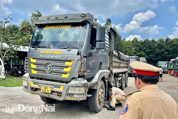 Chỉ huy Trạm Cảnh sát giao thông Suối Tre (Phòng Cảnh sát giao thông Công an tỉnh) trực tiếp kiểm tra tải trọng các xe tải ben bị phát hiện chở quá tải vào sáng 1-9. Ảnh: Đăng Tùng.