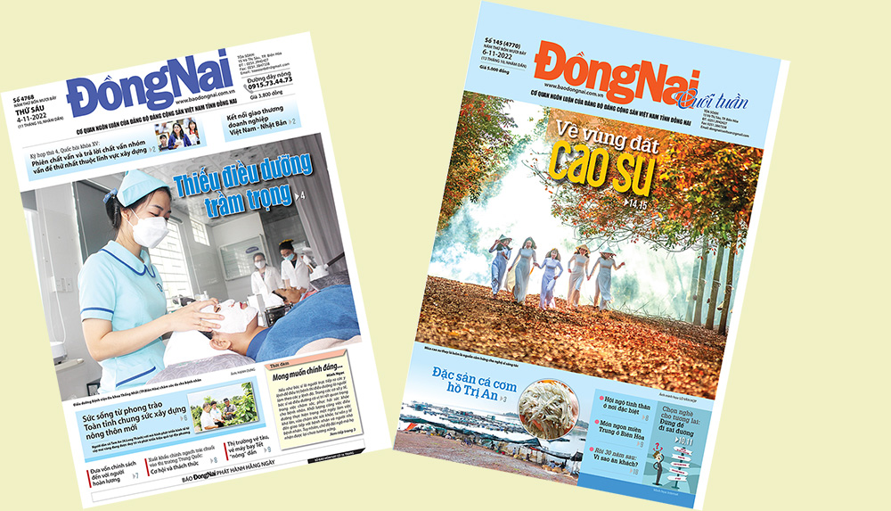 Bìa Báo Đồng Nai ra ngày 04-11 và Đồng Nai cuối tuần số 145