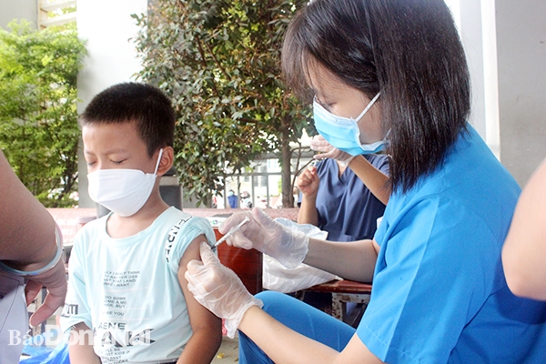  Tiêm vaccine phòng Covid-19 cho trẻ từ 5 đến dưới 11 tuổi trên địa bàn TP.Biên Hòa các đợt trước đó