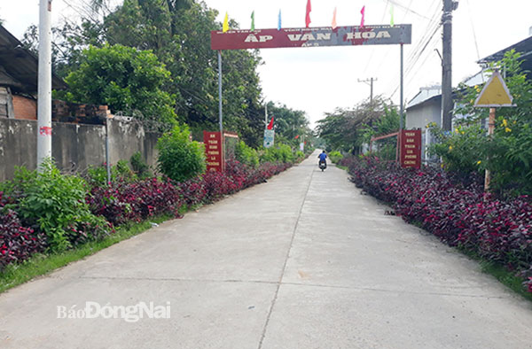 Tuyến đường nông thôn khang trang tại xã Phú Điền (H.Tân Phú). Ảnh: N.Liên