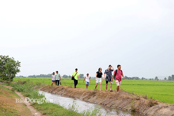 Khách du lịch tham quan, trải nghiệm du lịch nông thôn tại xã Phú Điền (H.Tân Phú). Ảnh: N.Liên