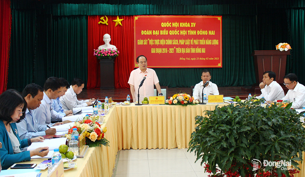  Đồng chí Quản Minh Cường, Phó bí thư Tỉnh ủy, Trưởng đoàn Đại biểu Quốc hội tỉnh phát biểu tại buổi làm việc