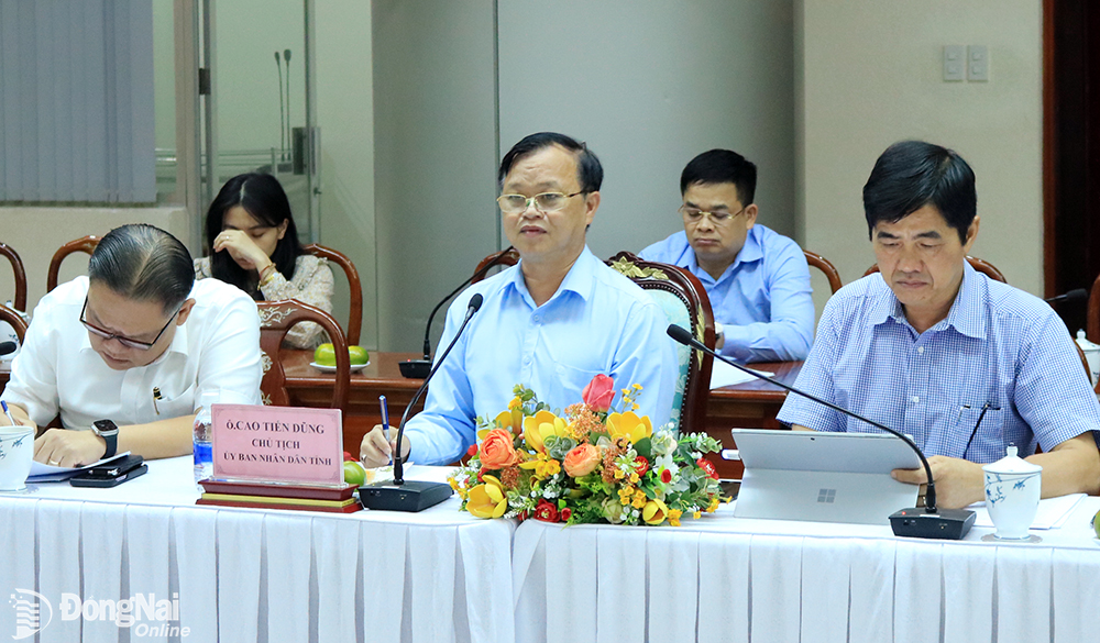 Chủ tịch UBND tỉnh Cao Tiến Dũng giới thiệu tiềm năng của Đồng Nai