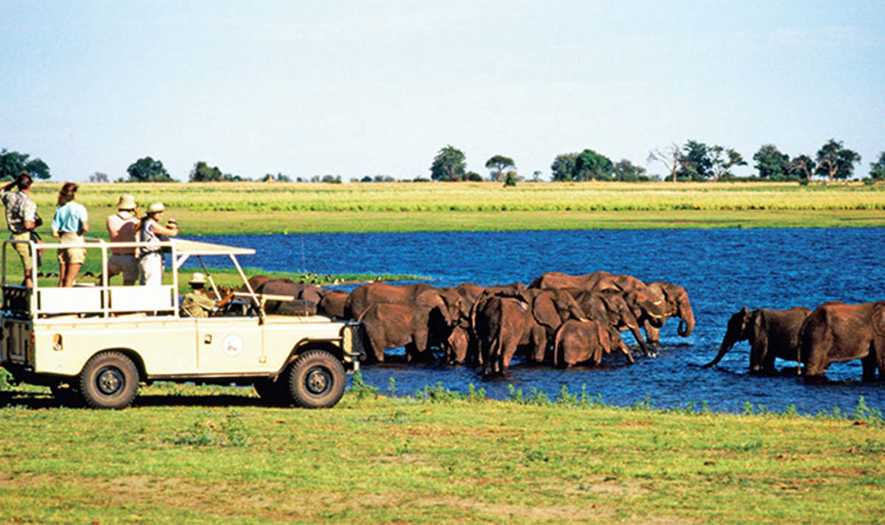 Động vật hoang dã trong Vườn quốc gia Etosha. Nguồn: Internet