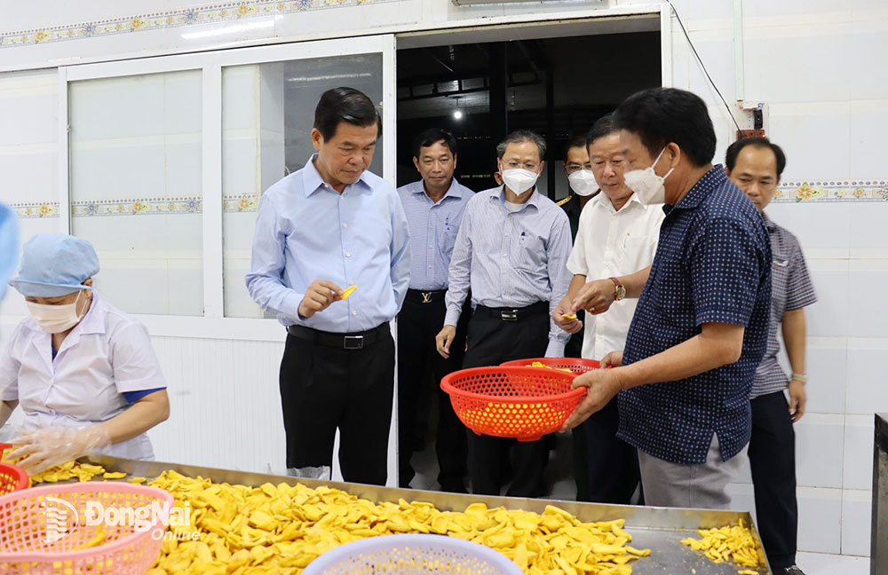 Ủy viên Trung ương Đảng, Bí thư Tỉnh ủy Nguyễn Hồng Lĩnh thăm một doanh nghiệp tại H.Định Quán. Ảnh: NGUYỆT HÀ