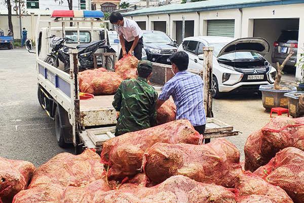 Nguồn rau do Sở NN-PTNT tỉnh Lâm Đồng hỗ trợ được kịp thời phân phối đến người dân gặp khó khăn trên địa bàn tỉnh. Ảnh: N.N