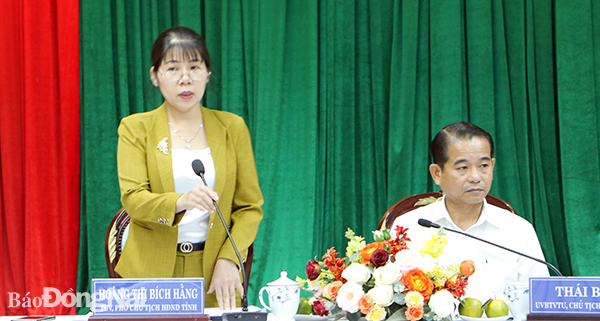 Phó chủ tịch HĐND tỉnh Hoàng Thị Bích Hằng phát biểu tại buổi giám sát