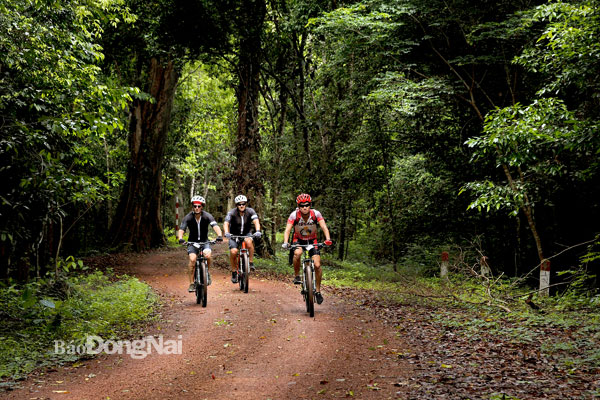 Du lịch sinh thái rừng là sản phẩm du lịch nổi tiếng của Đồng Nai