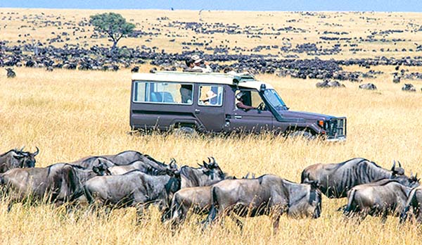 Safari bằng ô tô cũng là điều thú vị ở Kenya. Nguồn: keniatravel.info