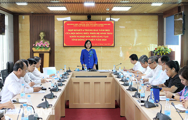 Phó chủ tịch UBND tỉnh Nguyễn Thị Hoàng phát biểu tại cuộc họp