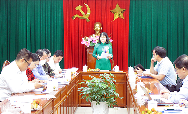 Phó chủ tịch HĐND tỉnh Hoàng Thị Bích Hằng phát biểu tại hội nghị   